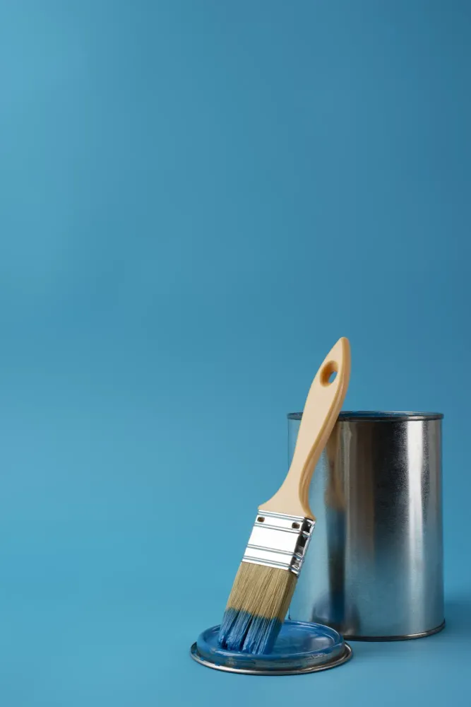 revêtement mur à Reignac