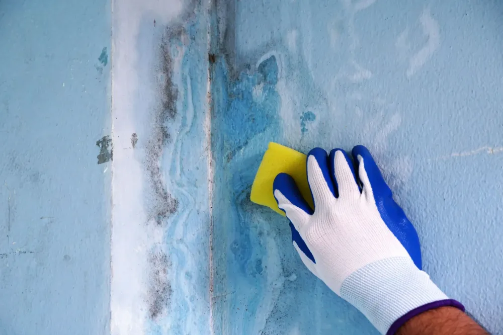 ACC Décoration (1)webp